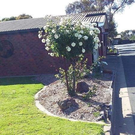 Federation Motel Resort - Corowa Εξωτερικό φωτογραφία